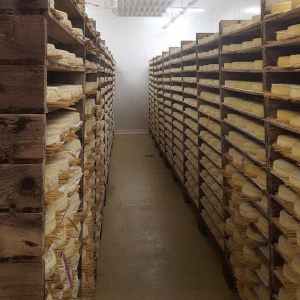 Nébulisation LIDIT dans une cave d'affinage de fromages